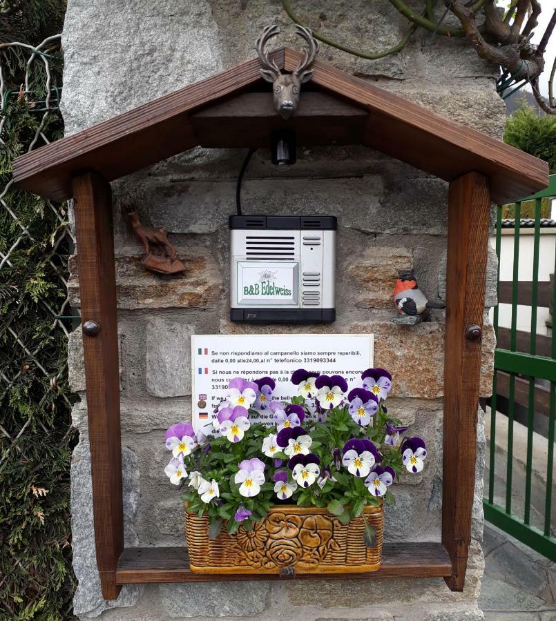 B&B Edelweiss Улкс Стая снимка